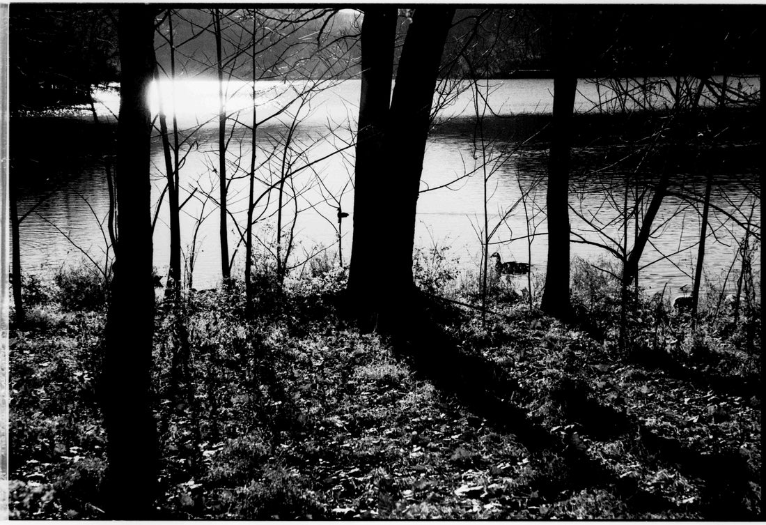 Why Are We Turning to Analog?